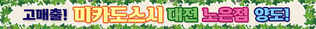 ȸʹʹ